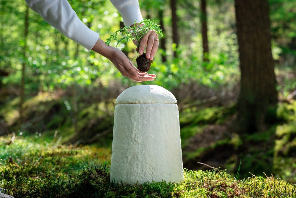 Eco-friendly LoopEarthRise mycelium urn being planted with a tree in ashes