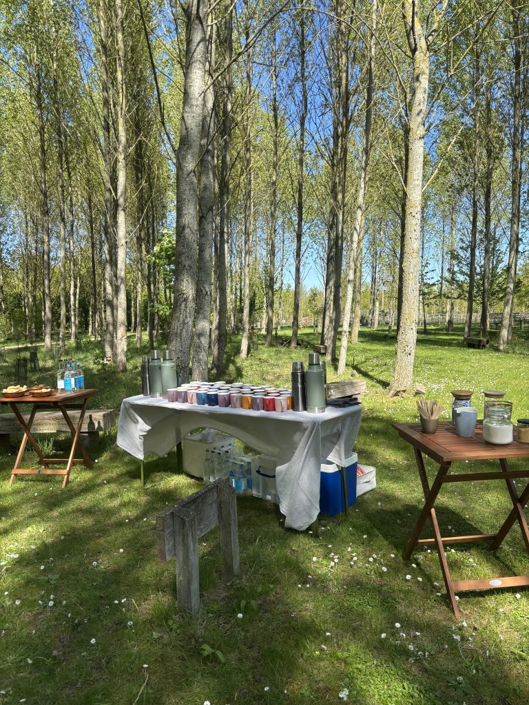 Tea in the woods at a natural burial funeral