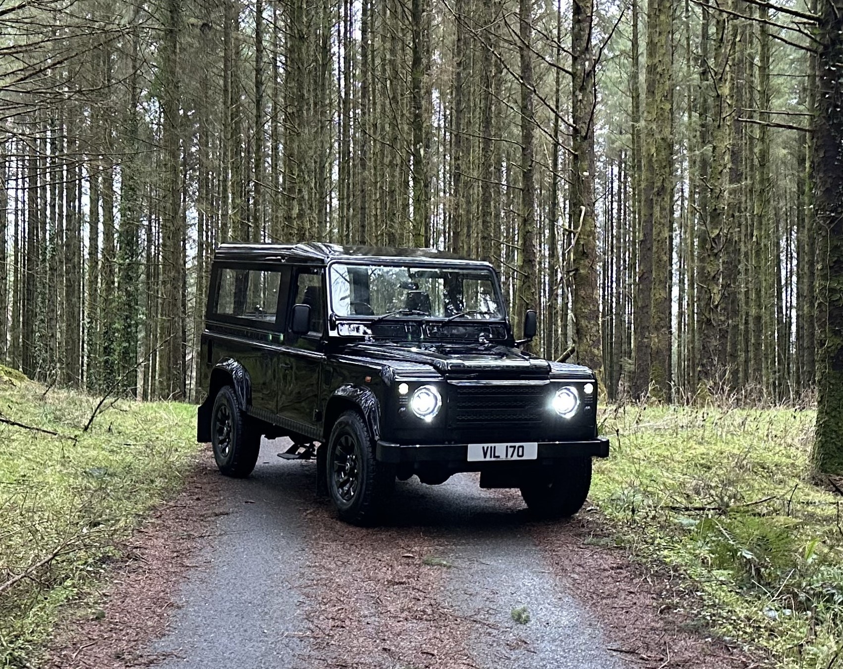 LandRover Hearse photo in woodland