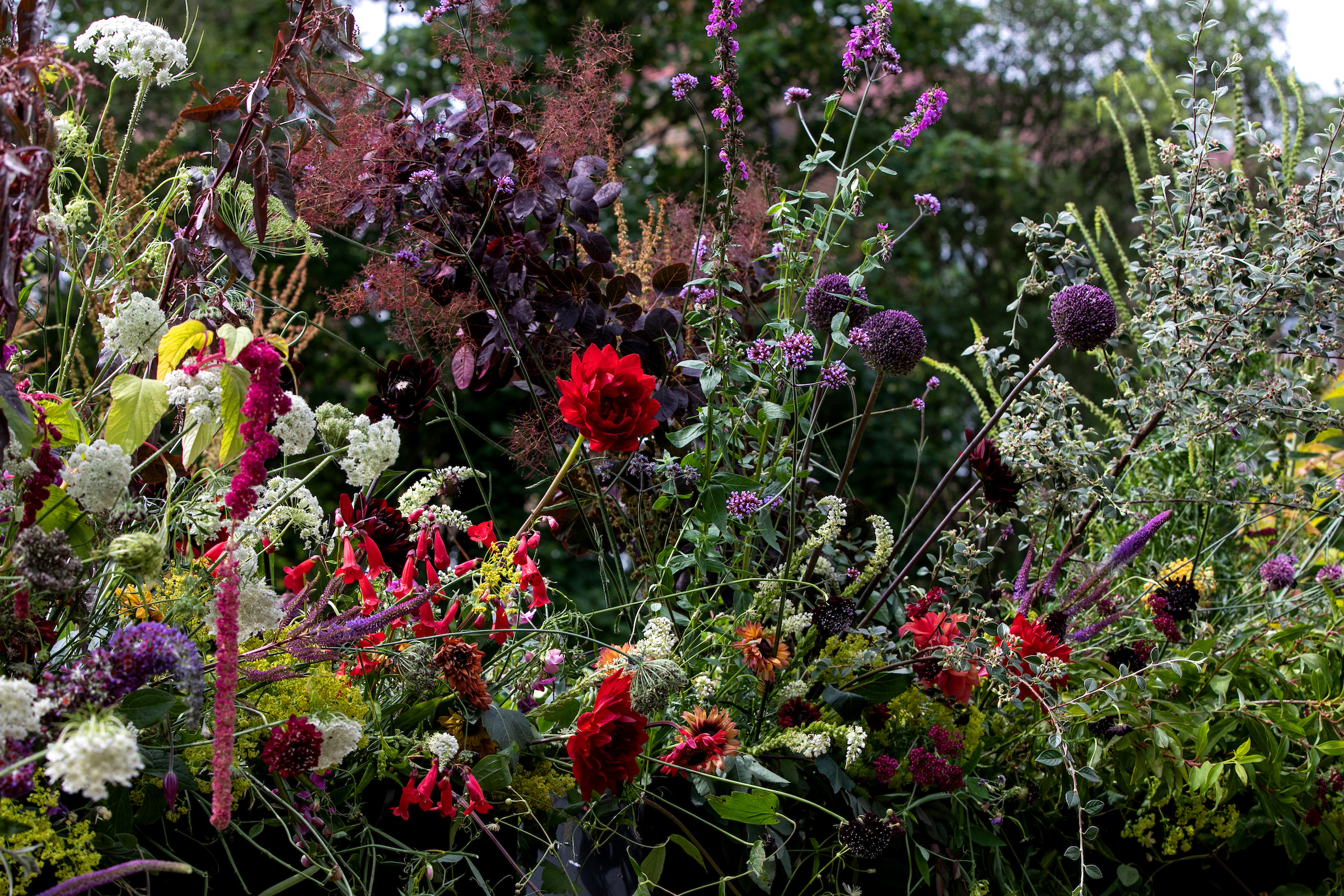 Wild flowers planted for an interment of ashes ceremony