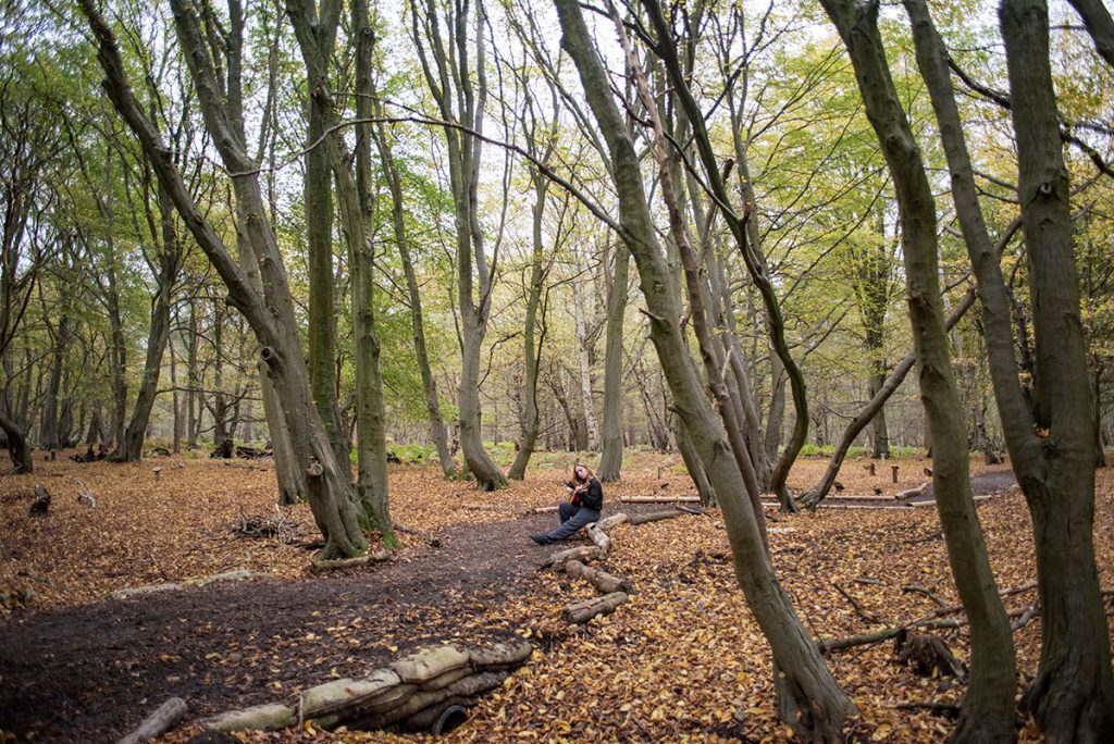 Live music in the woods Greenacres Epping Natural Burial Ground