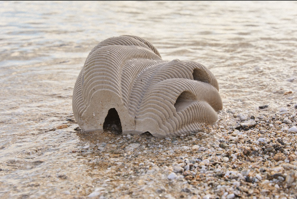 Resting Reef coral living memorial structure placed on the sea shore