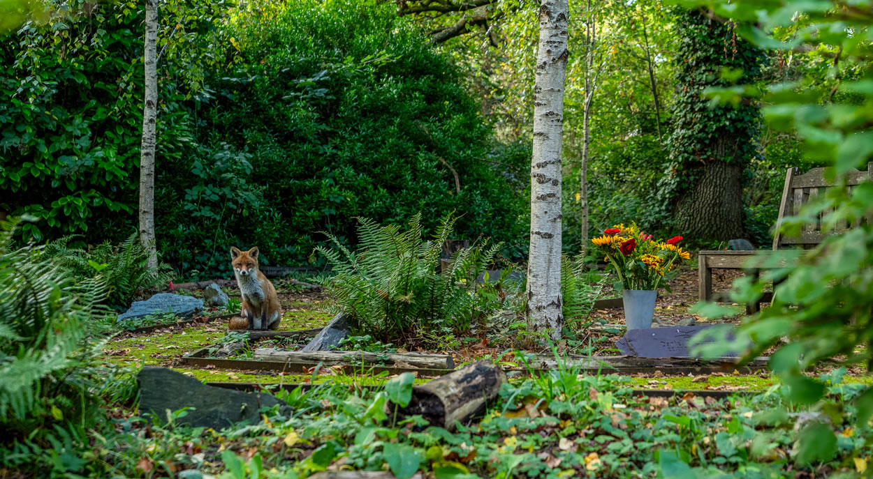 Urban memorial garden St Marylebone Crematorium, London N2