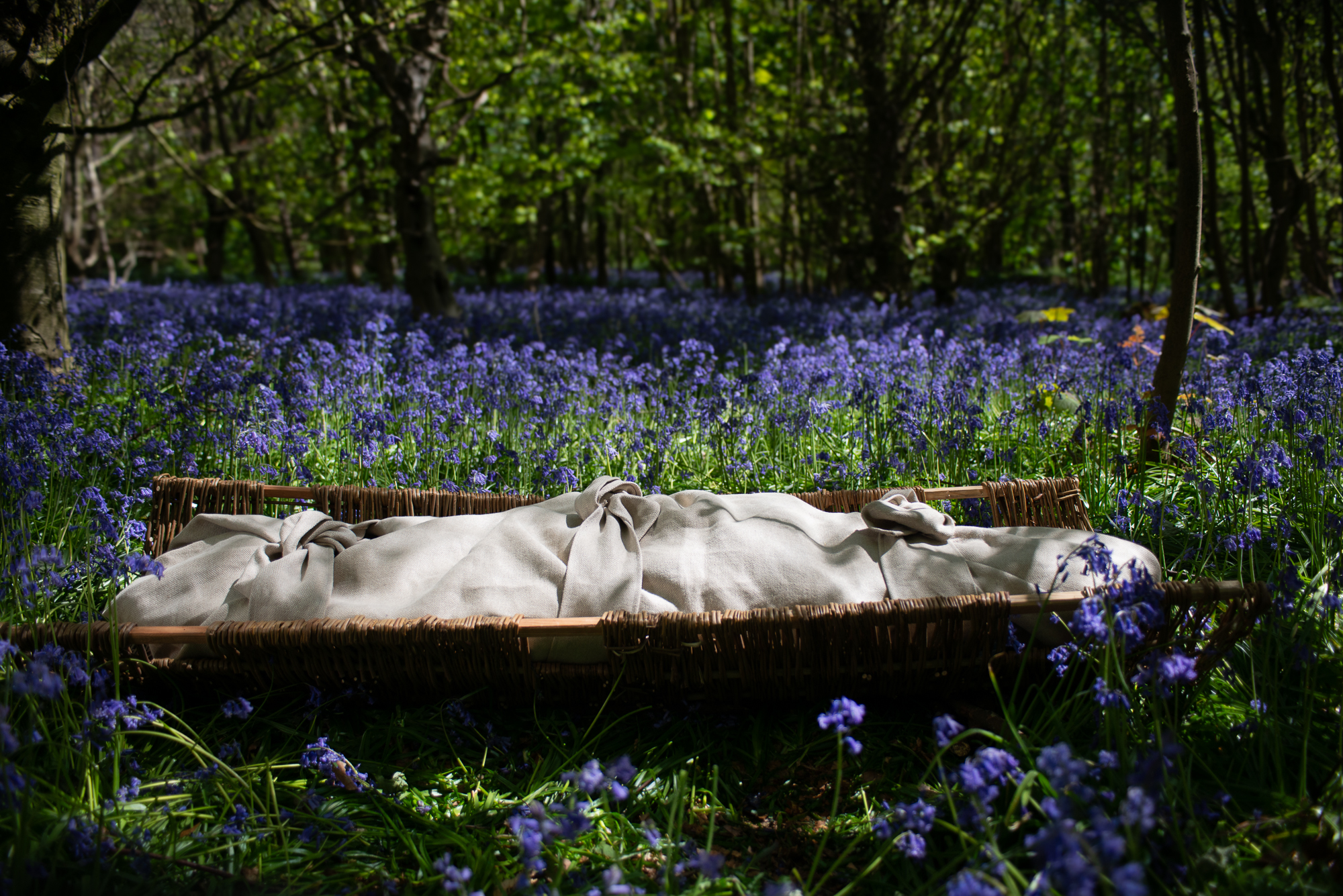 Sacred Wings eco-shroud in Bluebell woodland