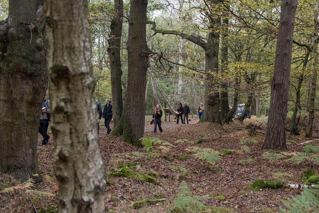 Woodlands at Greenacres Living Memorial park, natural burial ground