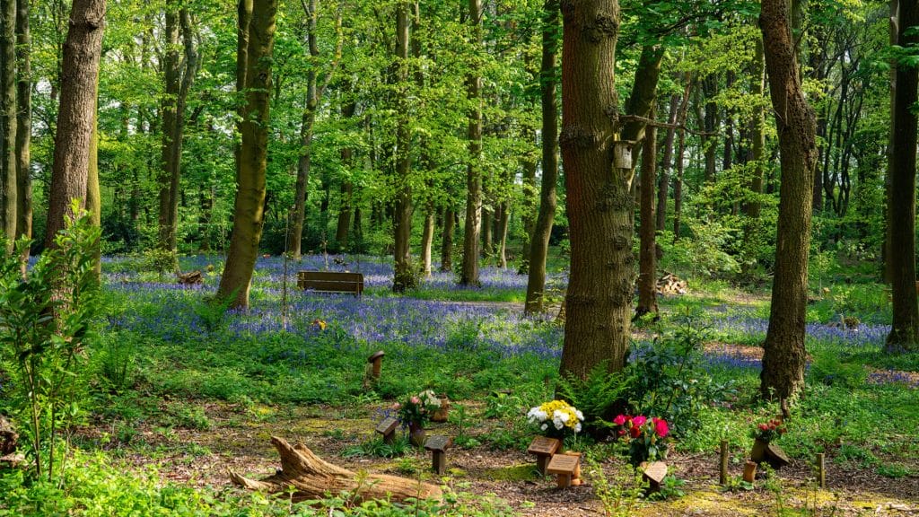 GreenAcres, Natural Burial, Epping Park